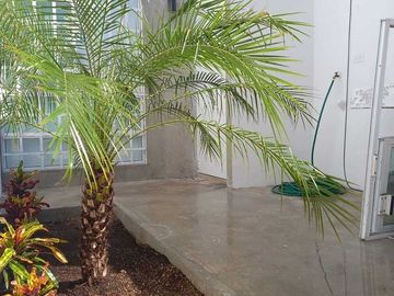 place photo 22