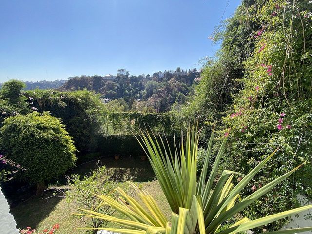 place photo 35