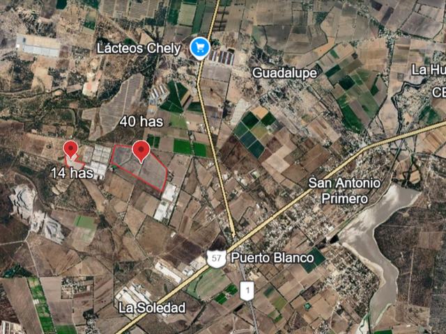 place photo 7