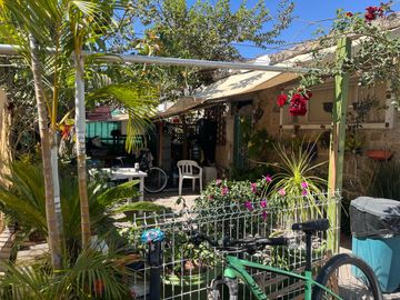 place photo 12