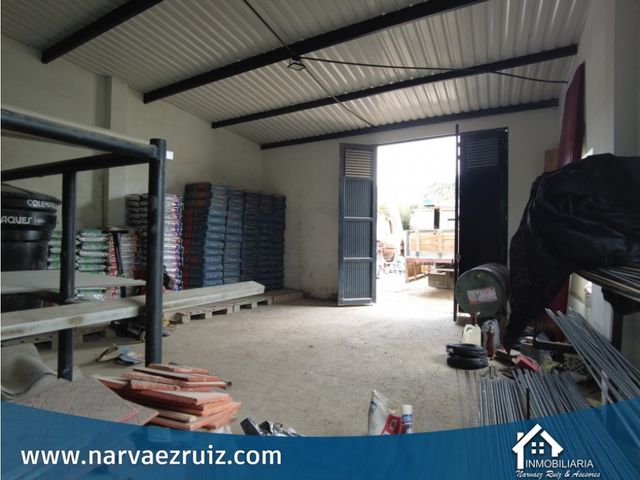 place photo 17
