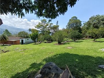 place photo 46