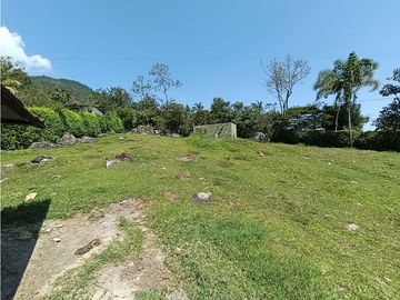 place photo 48