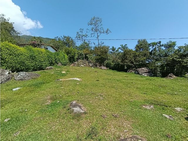 place photo 49