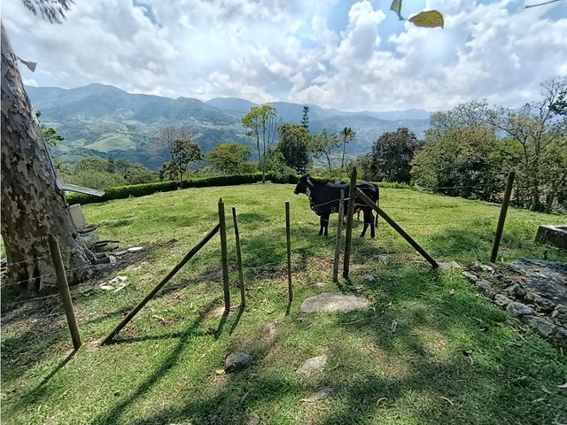place photo 56