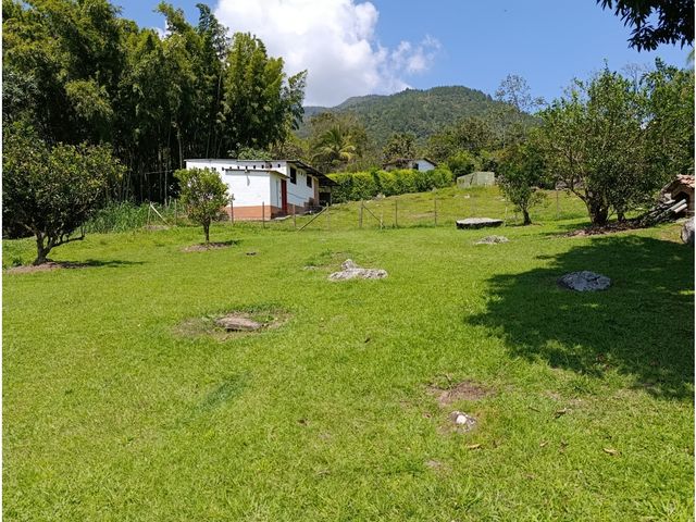 place photo 52