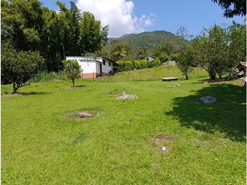 place photo 52