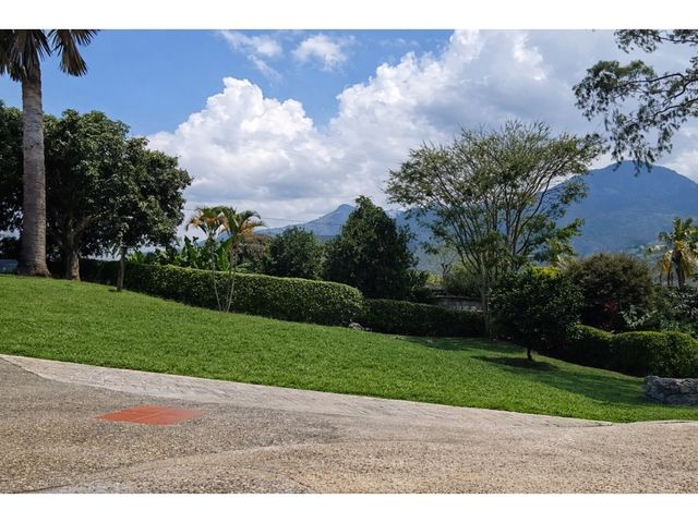 place photo 43