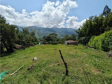 place photo 47