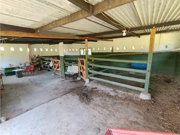 place photo 40