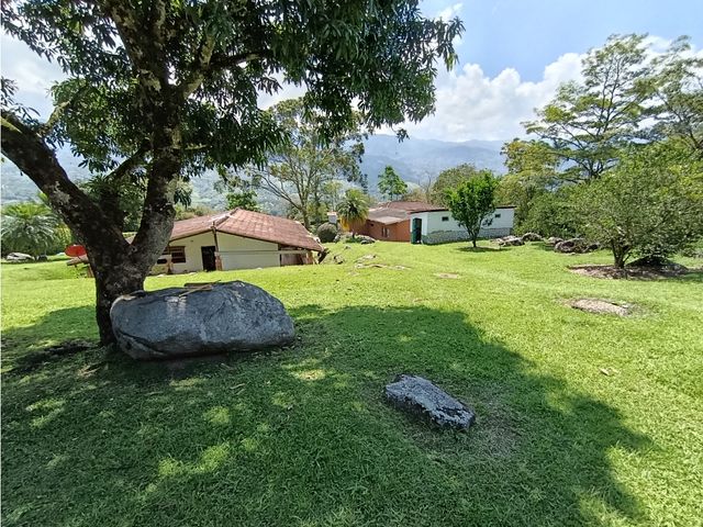 place photo 51