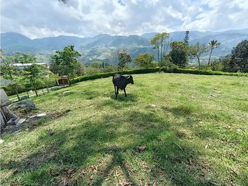 place photo 58