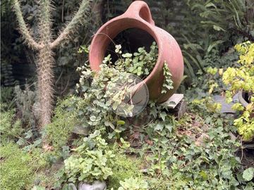 place photo 22