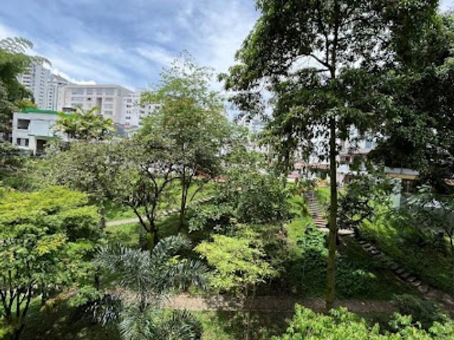 place photo 15