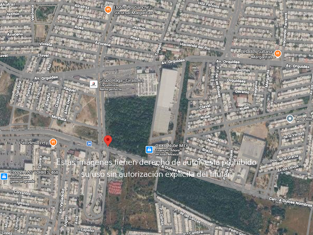 place photo 6
