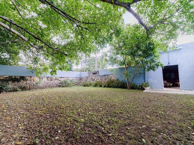 place photo 49
