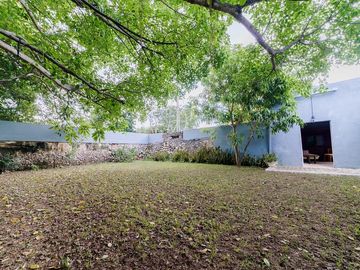 place photo 49