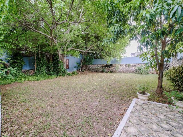 place photo 48