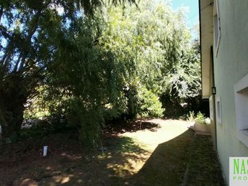 place photo 54