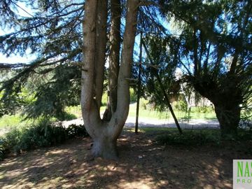 place photo 53
