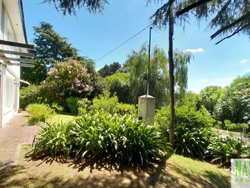 place photo 51