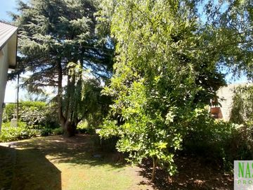 place photo 50