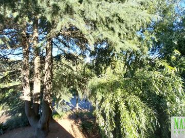 place photo 45