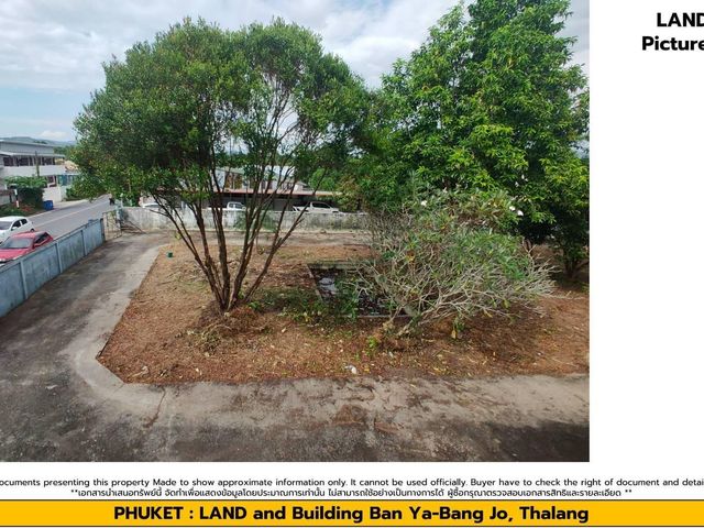 place photo 44