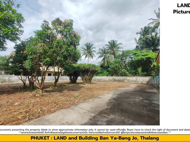 place photo 43