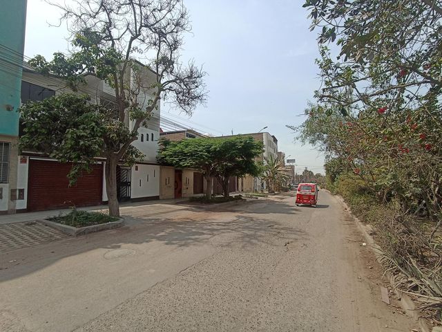 place photo 28