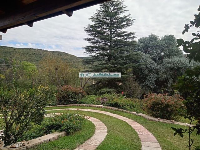 place photo 45