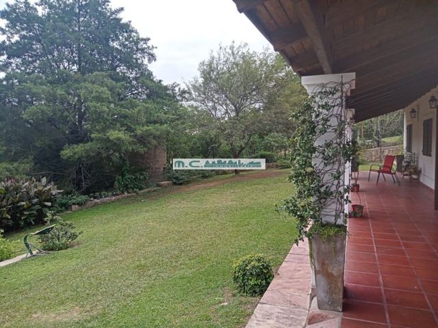 place photo 46