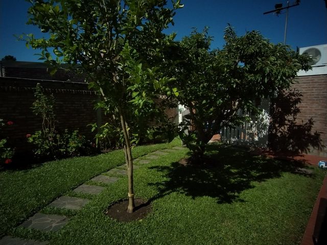 place photo 25