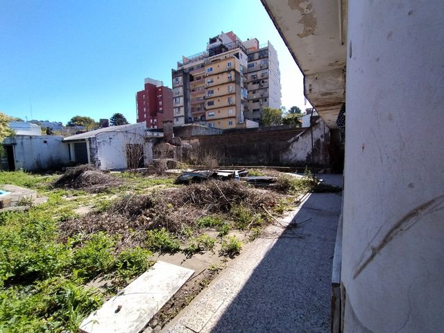 place photo 12