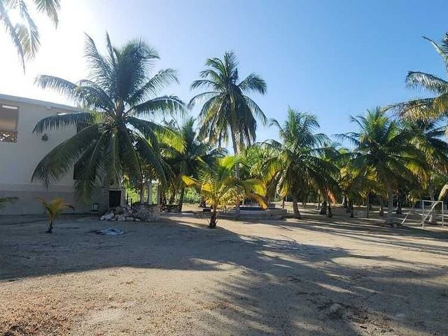 place photo 19