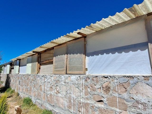 place photo 43