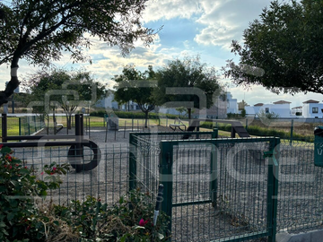 place photo 38