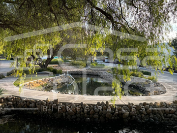 place photo 36