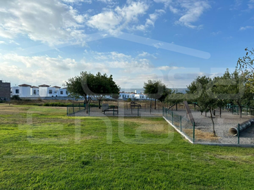 place photo 37