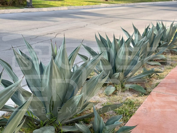 place photo 44