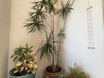place photo 22