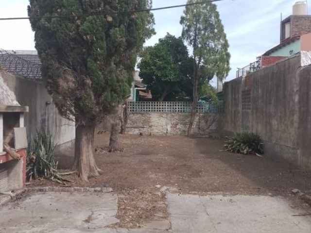 place photo 7