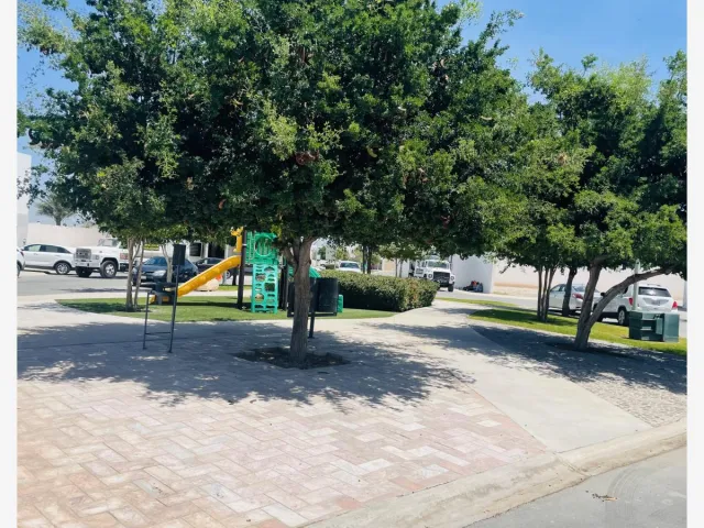 place photo 24