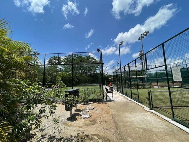 place photo 22
