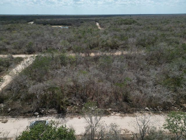 place photo 14