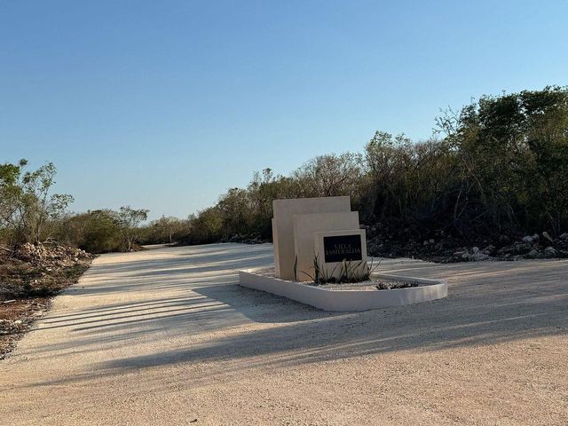 place photo 37