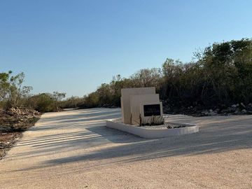 place photo 37