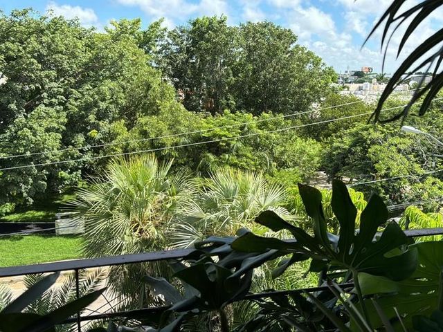 place photo 36