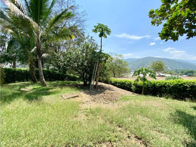 place photo 38