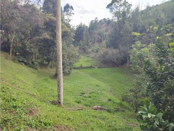 place photo 67